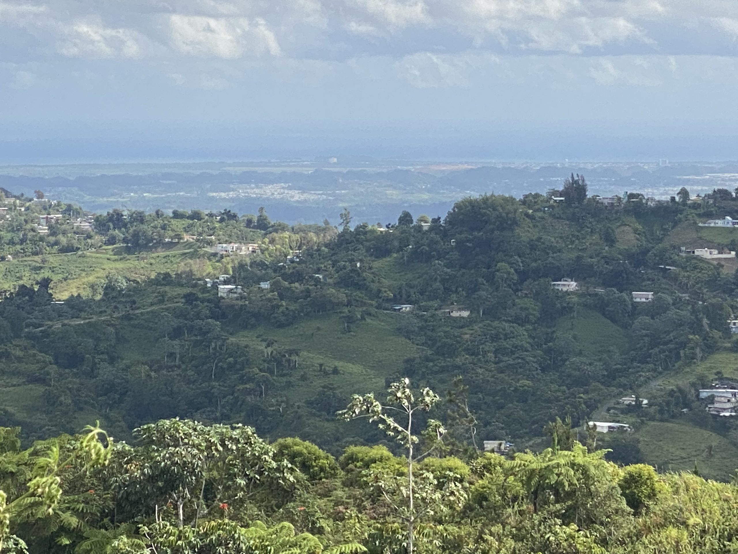 Price ReductionFor Sale Land Finca Palos Blancos, consisting of