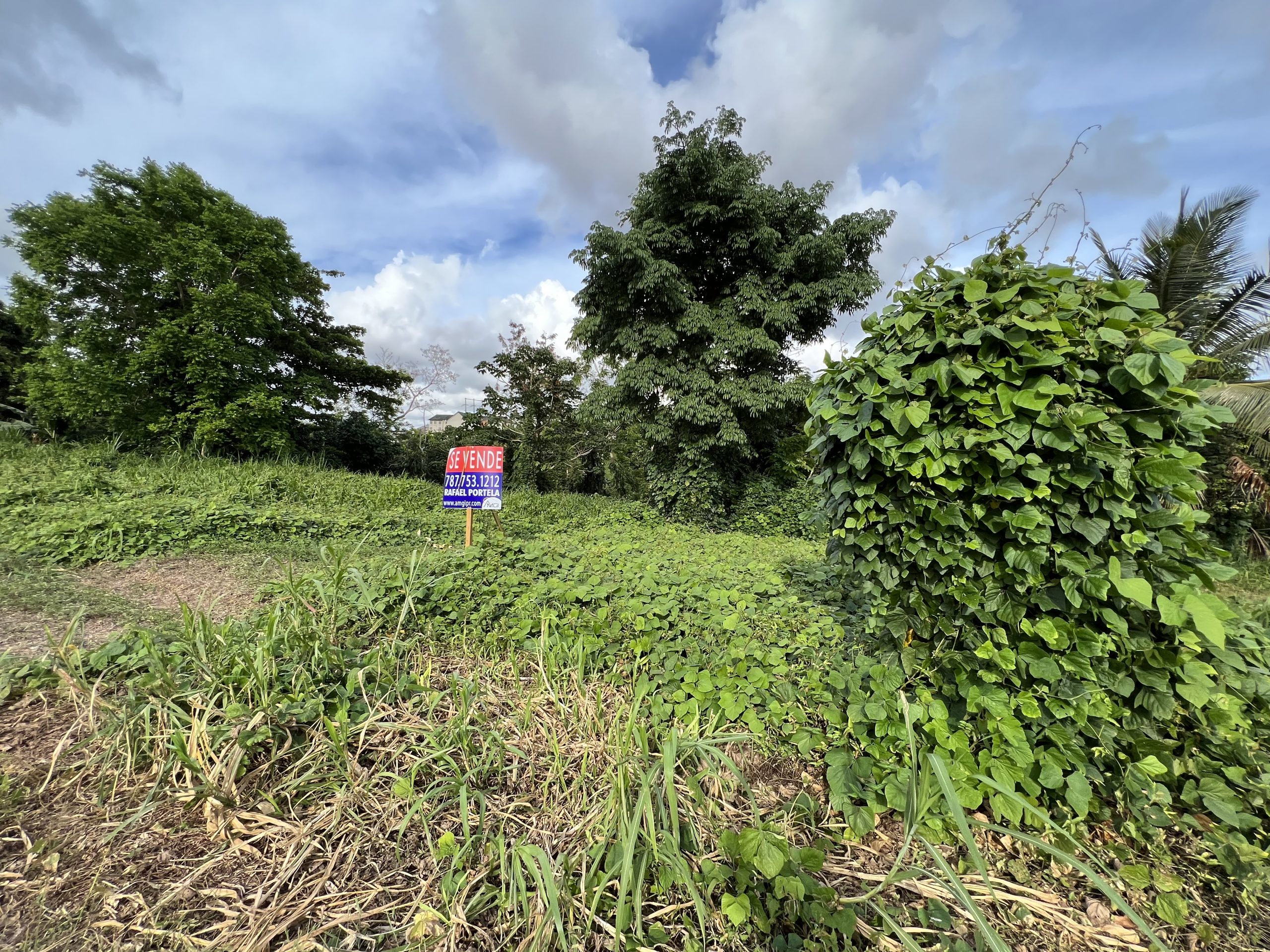 For Sale lot at Borinquen Garden Development, San Juan, Puerto Rico